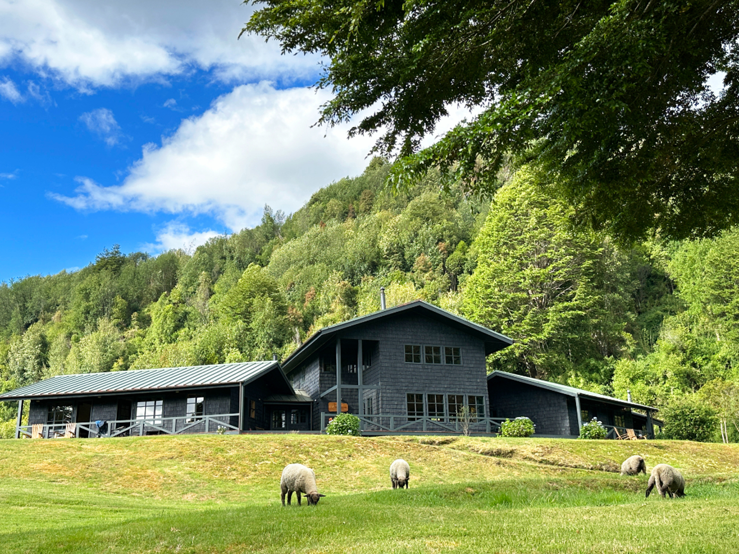 Lodge sits at the base of a hill with sheep in the foreground. The lodge is dark, with large windows