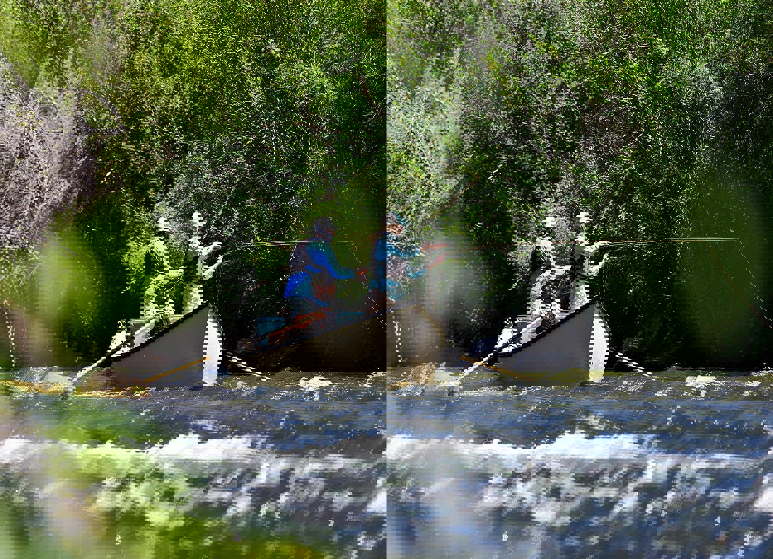 Fly fishing from a boat on the Gunnison River.